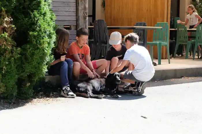 Association Cavale au Loup-Garou à Lezay