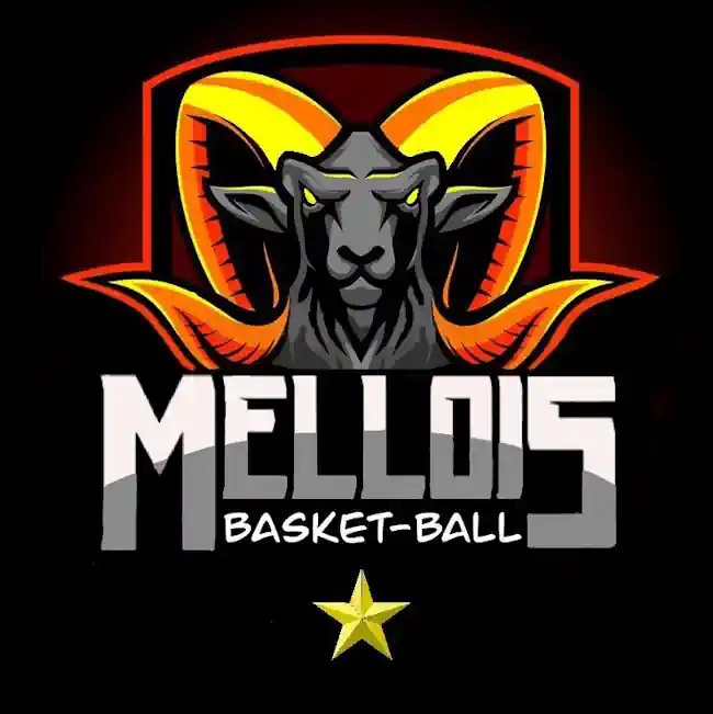 Basket Ball Mellois à Melle