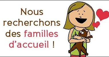 Famille d'accueil pour  félins