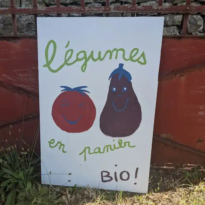 Légumes en panier à Celles-sur-Belles