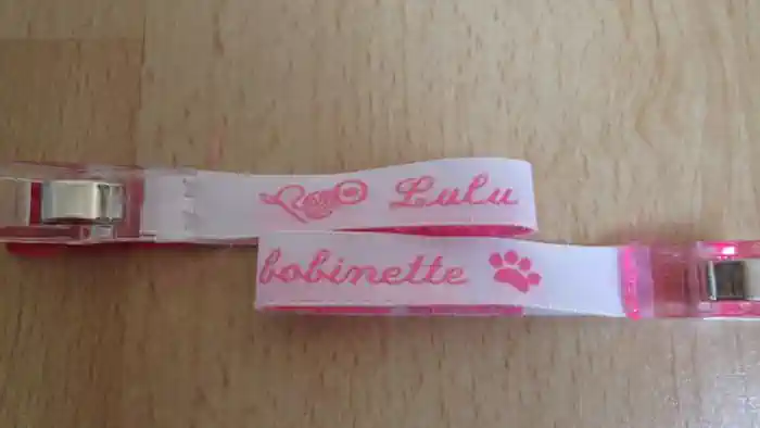 Lulu Bobinette à Lezay