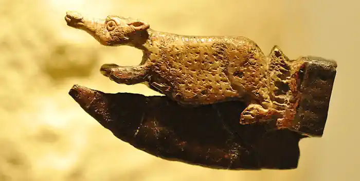 Musée de Rauranum à Rom