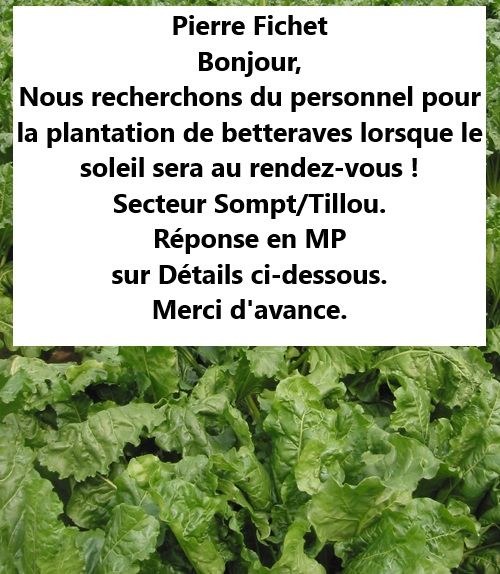 Personnel pour plantation à Stompt/Tilou